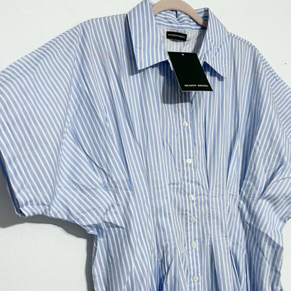 Anthropologie Maxi Shirt Dress Pleated Poplin Blue White Striped Pintuck NWT L - Picture 4 of 14